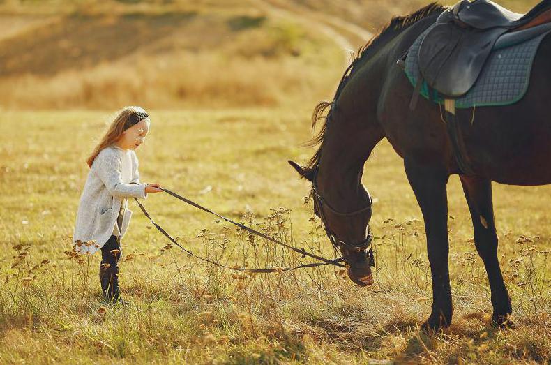 Lovaglás gyerekeknek